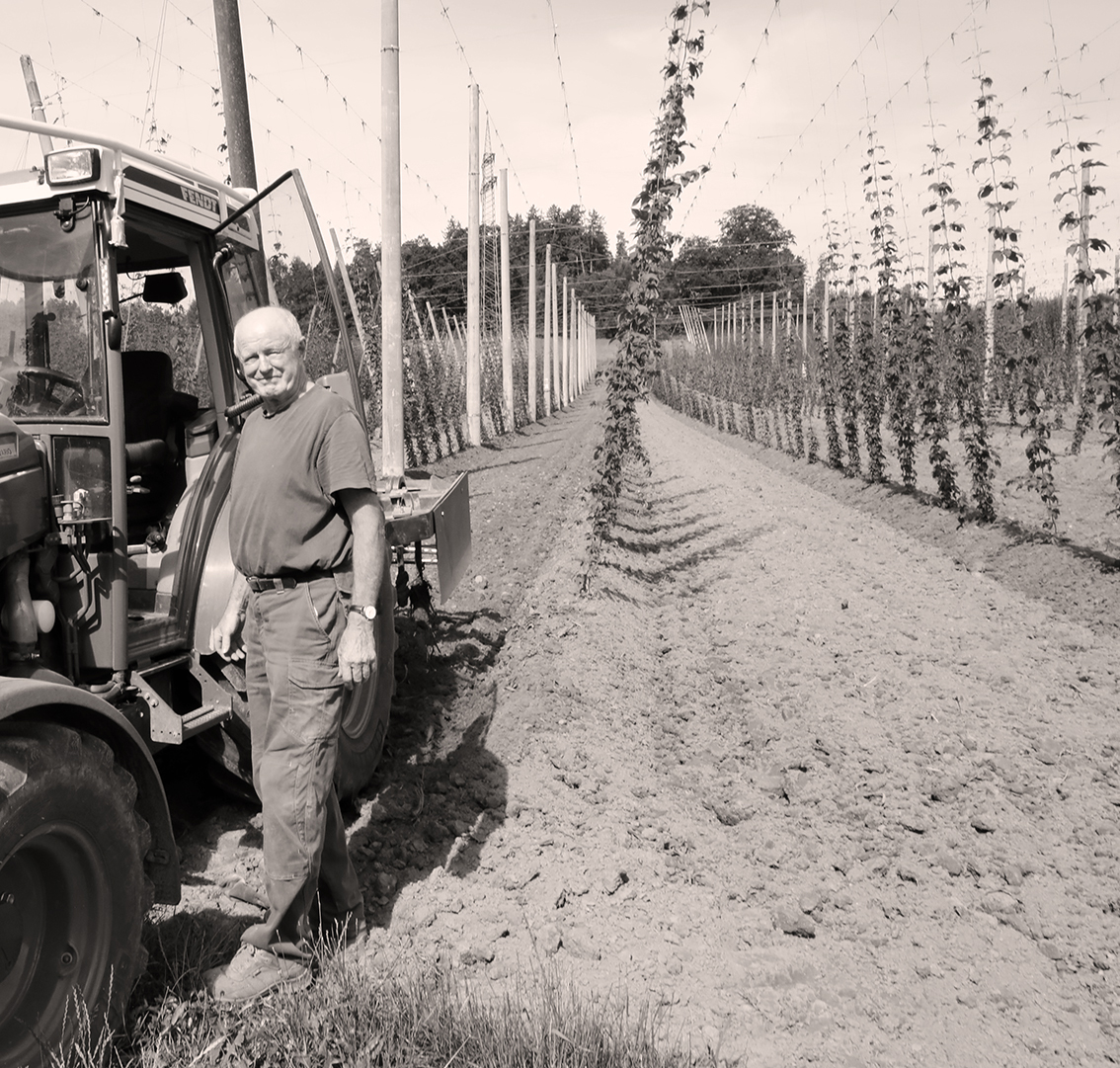 Hop Fields